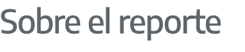 Sobre el reporte