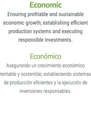 Economic Ensuring profitable and sustainable economic growth; establishing efficient production systems and executing...