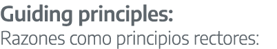 Guiding principles: Razones como principios rectores: