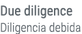 Due diligence Diligencia debida