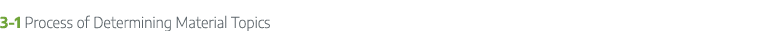 3 1 Process of Determining Material Topics