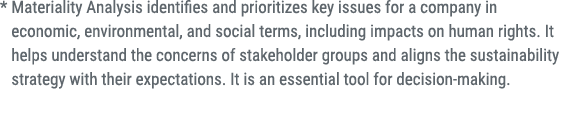 * Materiality Analysis identifies and prioritizes key issues for a company in economic, environmental, and social ter...