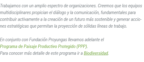 Trabajamos con un amplio espectro de organizaciones. Creemos que los equipos multidisciplinares propician el di logo ...