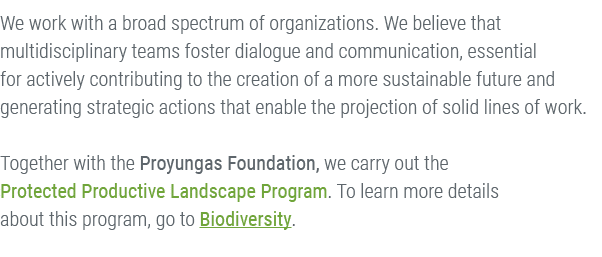 We work with a broad spectrum of organizations. We believe that multidisciplinary teams foster dialogue and communica...