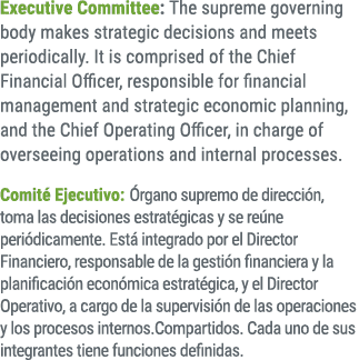 Executive Committee: The supreme governing body makes strategic decisions and meets periodically. It is comprised of ...