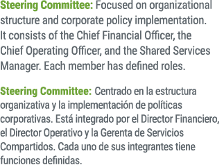 Steering Committee: Focused on organizational structure and corporate policy implementation. It consists of the Chief...