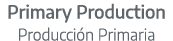Primary Production Producci n Primaria