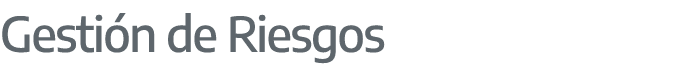 Gesti n de Riesgos