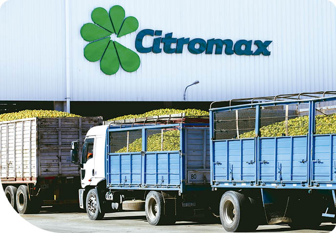 Copyright 2022 Citromax Group. All rights reserved. No use without permission.