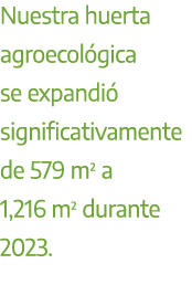 Nuestra huerta agroecol gica se expandi significativamente de 579 m² a 1,216 m² durante 2023.