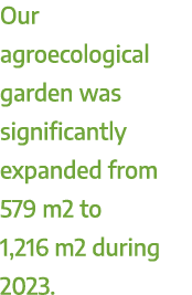 Our agroecological garden was significantly expanded from 579 m2 to 1,216 m2 during 2023.