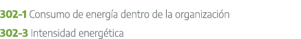 302 1 Consumo de energ a dentro de la organizaci n 302 3 Intensidad energ tica