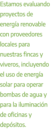 Estamos evaluando proyectos de energ a renovable con proveedores locales para nuestras fincas y viveros, incluyendo e...