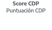 Score CDP Puntuaci n CDP