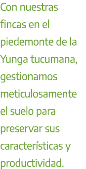 Con nuestras fincas en el piedemonte de la Yunga tucumana, gestionamos meticulosamente el suelo para preservar sus ca...
