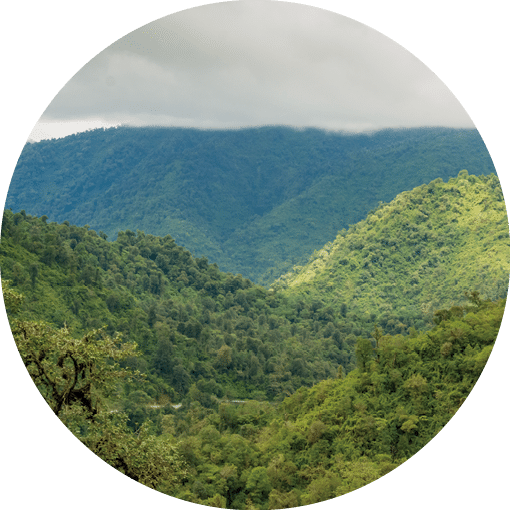Foggy and lush mountain landscape. Quebrada de los Sosa, Tucuman. Argentina