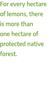 For every hectare of lemons, there is more than one hectare of protected native forest.