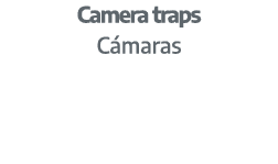 Camera traps C maras