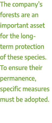 The company’s forests are an important asset for the long term protection of these species. To ensure their permanenc...