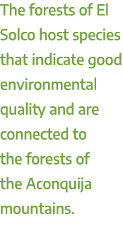 The forests of El Solco host species that indicate good environmental quality and are connected to the forests of the...