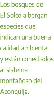 Los bosques de El Solco albergan especies que indican una buena calidad ambiental y est n conectados al sistema monta...
