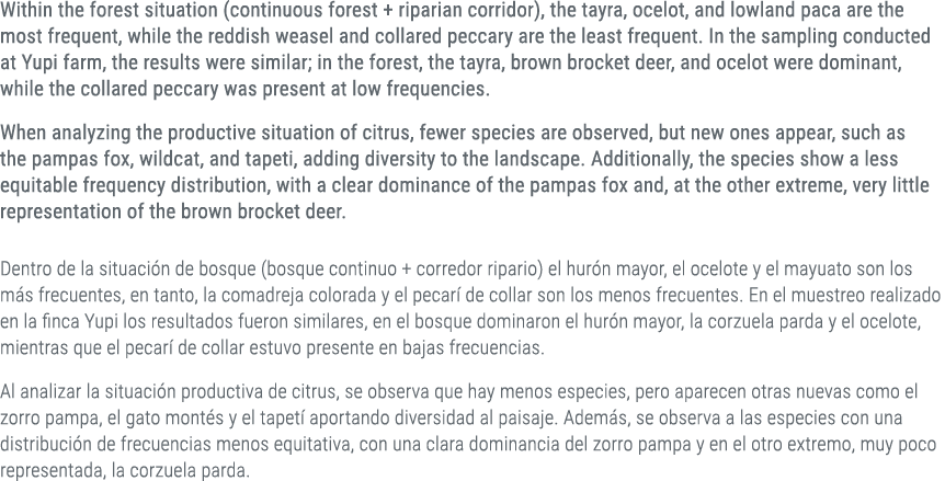 Within the forest situation (continuous forest + riparian corridor), the tayra, ocelot, and lowland paca are the most...