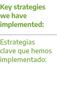 Key strategies we have implemented: Estrategias clave que hemos implementado: 