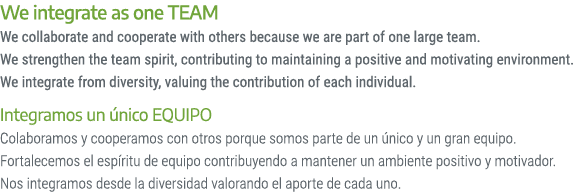 We integrate as one TEAM We collaborate and cooperate with others because we are part of one large team. We strengthe...