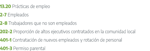 13.20 Pr cticas de empleo 2 7 Empleados 2 8 Trabajadores que no son empleados 202 2 Proporci n de altos ejecutivos co...