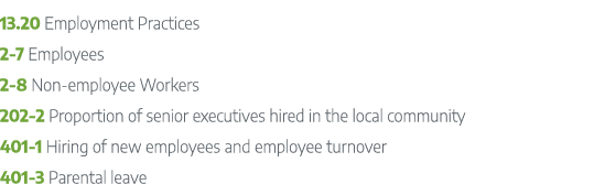 13.20 Employment Practices 2 7 Employees 2 8 Non employee Workers 202 2 Proportion of senior executives hired in the ...