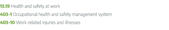 13.19 Health and safety at work 403 1 Occupational health and safety management system 403 10 Work related injuries a...