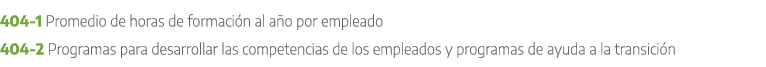 404 1 Promedio de horas de formaci n al a o por empleado 404 2 Programas para desarrollar las competencias de los emp...