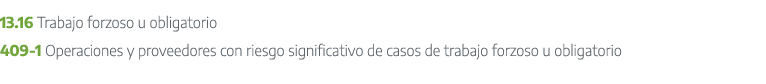 13.16 Trabajo forzoso u obligatorio 409 1 Operaciones y proveedores con riesgo significativo de casos de trabajo forz...